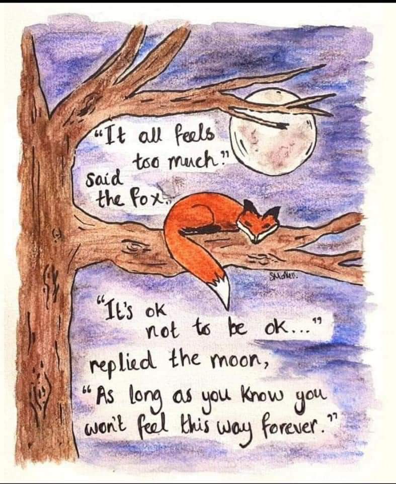Eileen Wilson (@glensidetwo2) on Twitter photo This seems to suit me today. Our lovely NHS has ruled out critical illness but it's still taking time to feel better. #Covid This seems to suit me today. Our lovely NHS has ruled out critical illness but it's still taking time to feel better. #Covid