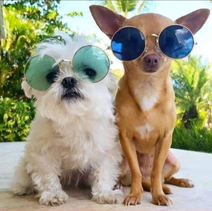 atasevdalisi0's tweet photo. #Erkeklerin İstediği #Kadın Tipi ...🙄🙄#Güzel Olsun , Çok #Sevsin , Saçları #Havalı Olsun , Hiç #Bırakmasın , #Zengin Olsun 🙄🙃🤔😋😒😊🤪💃😂
He He Tabi #Sos ve #Turşu da Koyuyorum 🙈🙊 #Paketmi Olsun 🙄 #Dürüm mü 🙈😂🤪😁
#günakşamda💫 https://t.co/XCtFncoa8N