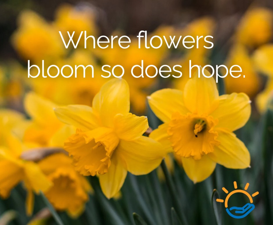 AmatusHealth's tweet image. There's always reason for hope! #HopeInRecovery #Healing #RecoveryAffirmation
