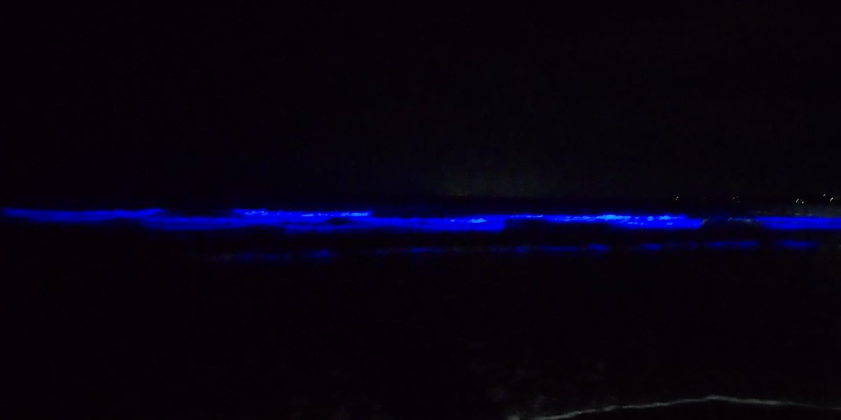 nonta374's tweet image. 試合後、癒しをもらいに大洗へ行ってきた🚙💨
本日最終日、なかなかの賑わいでした✨
#大洗町 
#NIGHTWAVE