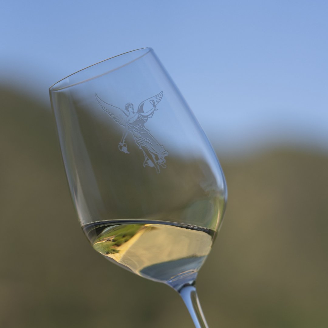 Taking in the aromas of Montes Wines, where every scent tells a story. 🍷✨