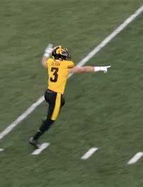 Looks like a Fair catch Signal.