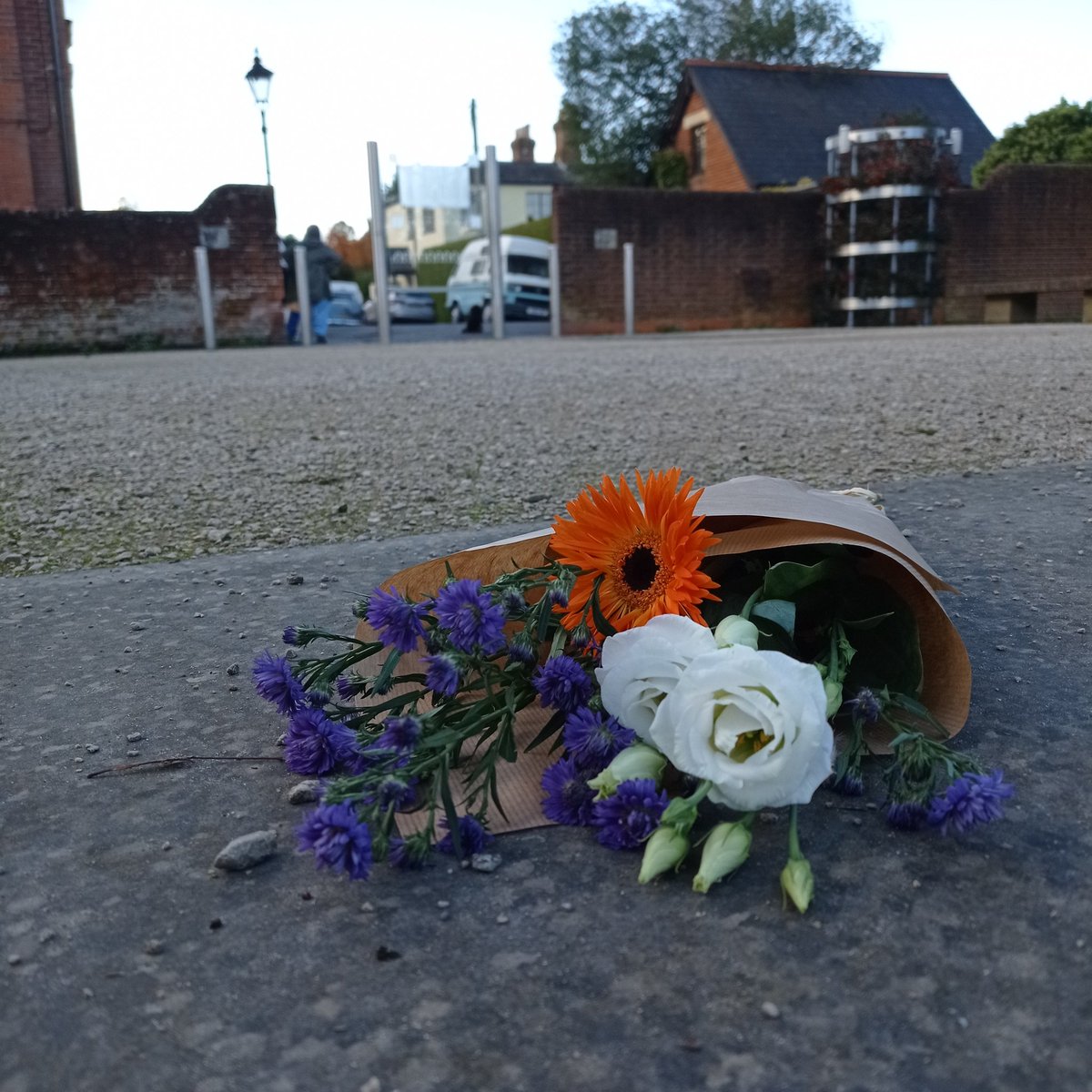 Hyde Abbey garden. Flowers to commemorate King Alfred.