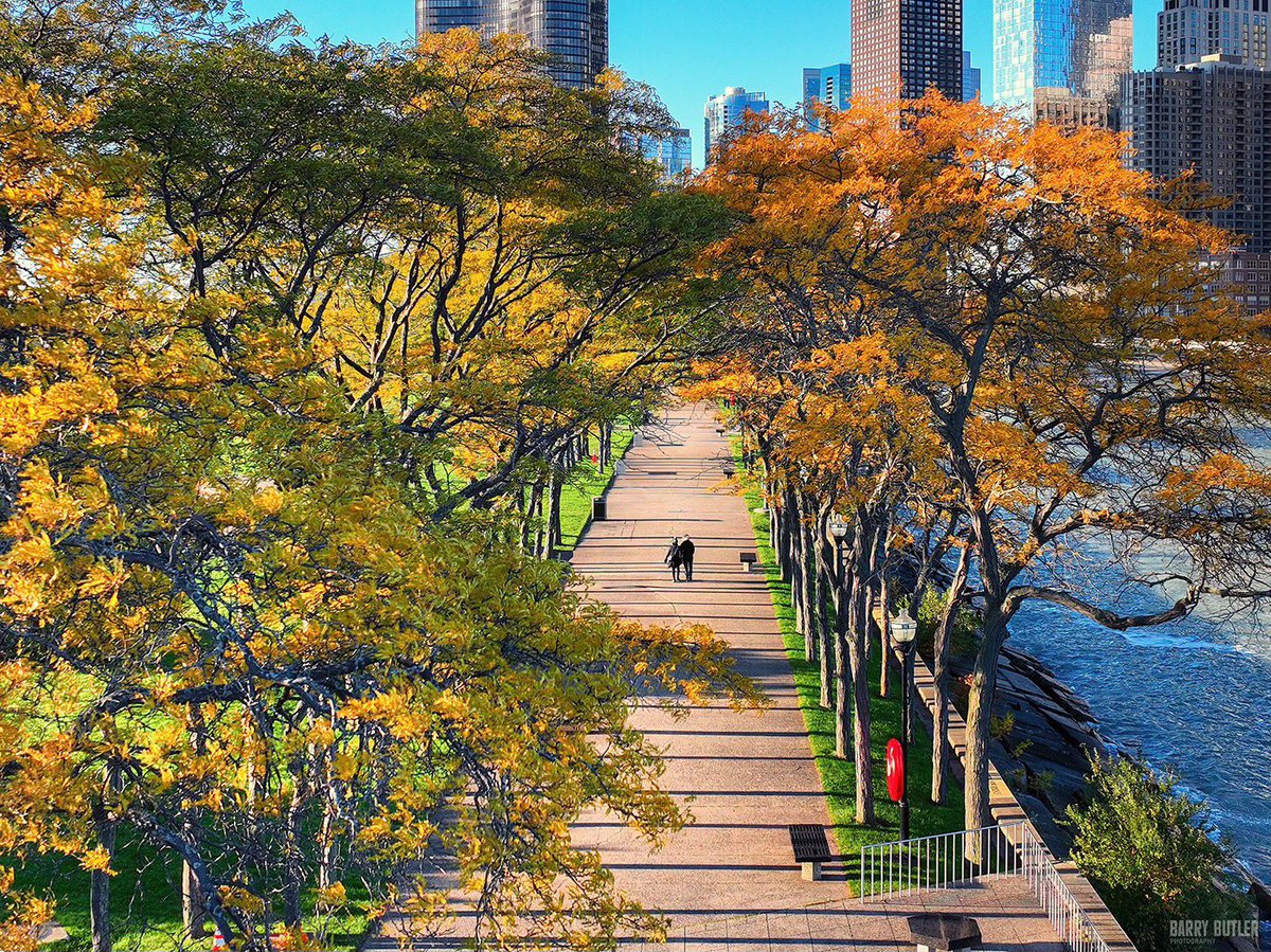 barrybutler9's tweet photo. Sunday Stroll.   This morning in Olive Park, Chicago.  #weather #chicago #autumn #news #ilwx https://t.co/EUOlIdHSmr