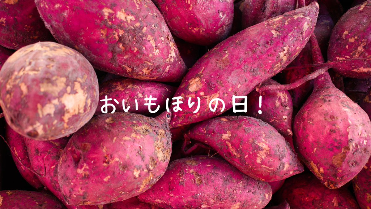Eny!🧸

今日は #おいもほりの日 ！

サツマイモは霜が降り始めるまで太り続けるとされており、10月23日頃は収穫がピークを迎える時期です🍠

秋の味覚はおいしいものが目白押しですね👀✨

#今日は何の日
#nftart