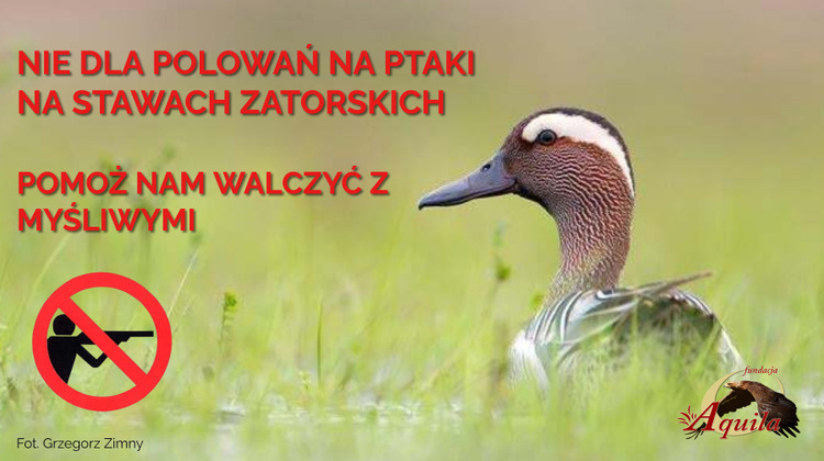 Pomóż chronić ptaki na Stawach Zatorskich. Wesprzyj nas w walce z myśliwymi o uznanie szkody w środowisku, którą powodują zabijając ptaki.
Link do zrzutki zrzutka.pl/stzkvn
<a href="/RobertMaslak/">Robert Maślak</a> <a href="/AnitaKDZG/">Anita Kucharska-Dziedzic - posłanka na Sejm RP 💪⚡</a> <a href="/EwaLieder/">Ewa Lieder</a> <a href="/GoTracz/">Małgorzata Tracz</a> <a href="/AntoniSKostka/">Antoni Kostka 🇵🇱🌲🌳🇪🇺</a> <a href="/AdamWajrak/">Adam Wajrak</a> <a href="/JNiezgodzka/">Jolanta Niezgodzka</a> <a href="/JachiraKlaudia/">Klaudia Jachira</a>