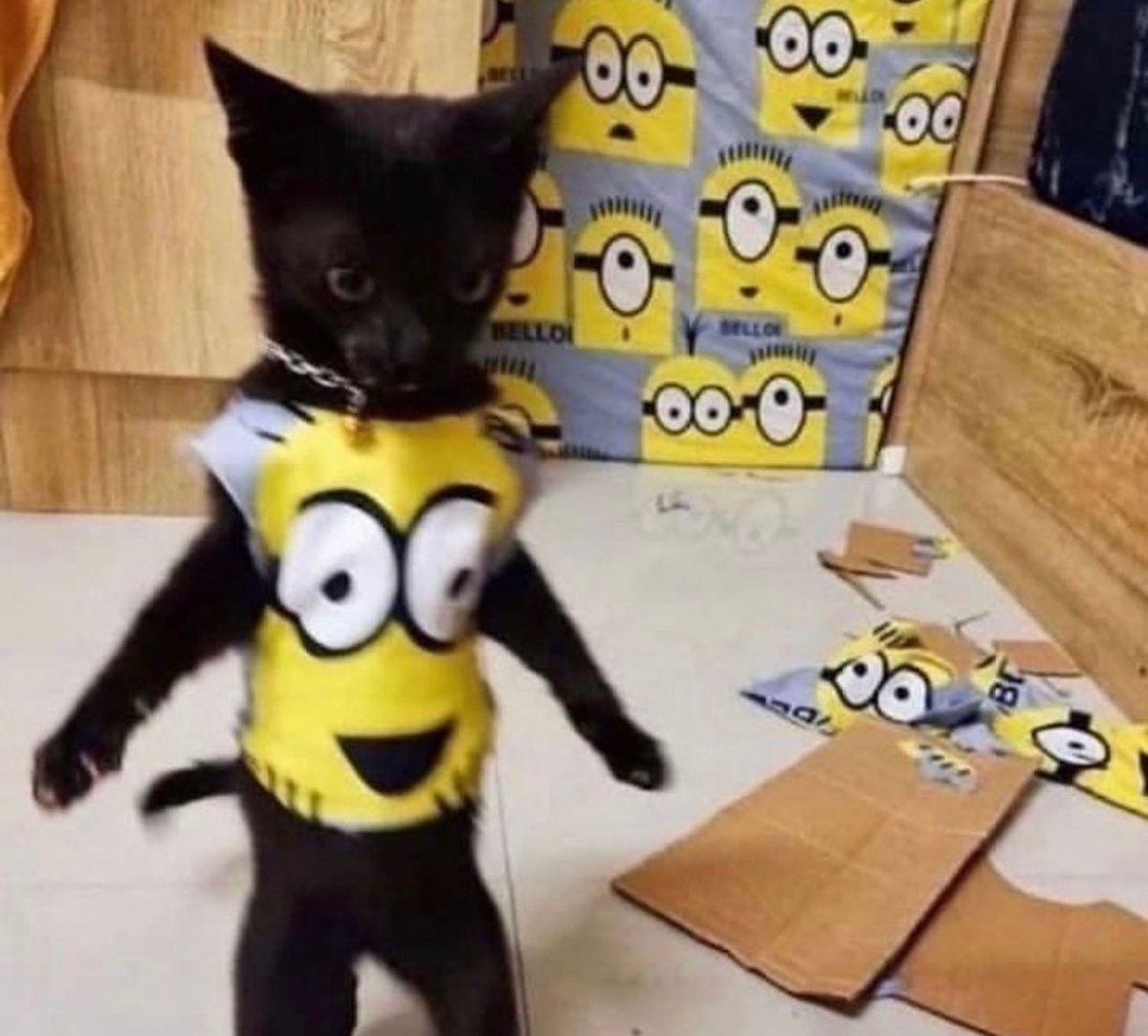 do you like his costume?