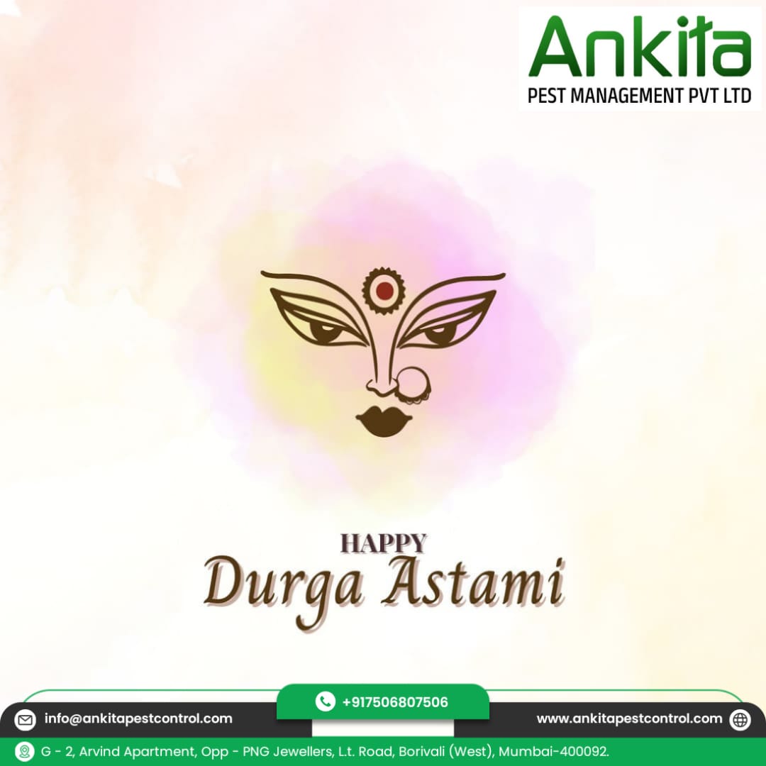 Ankitapcs's tweet photo. Happy Durga Astami.
.
.
#navratri #navratrispecial #garba #durgapuja #love #durga #festival #jaimatadi #devi #garba #dandiya #maa #maadurga #garbanight #garbalover #garbadance #durgamaa #navratri2023 https://t.co/QNKSLkJmNv