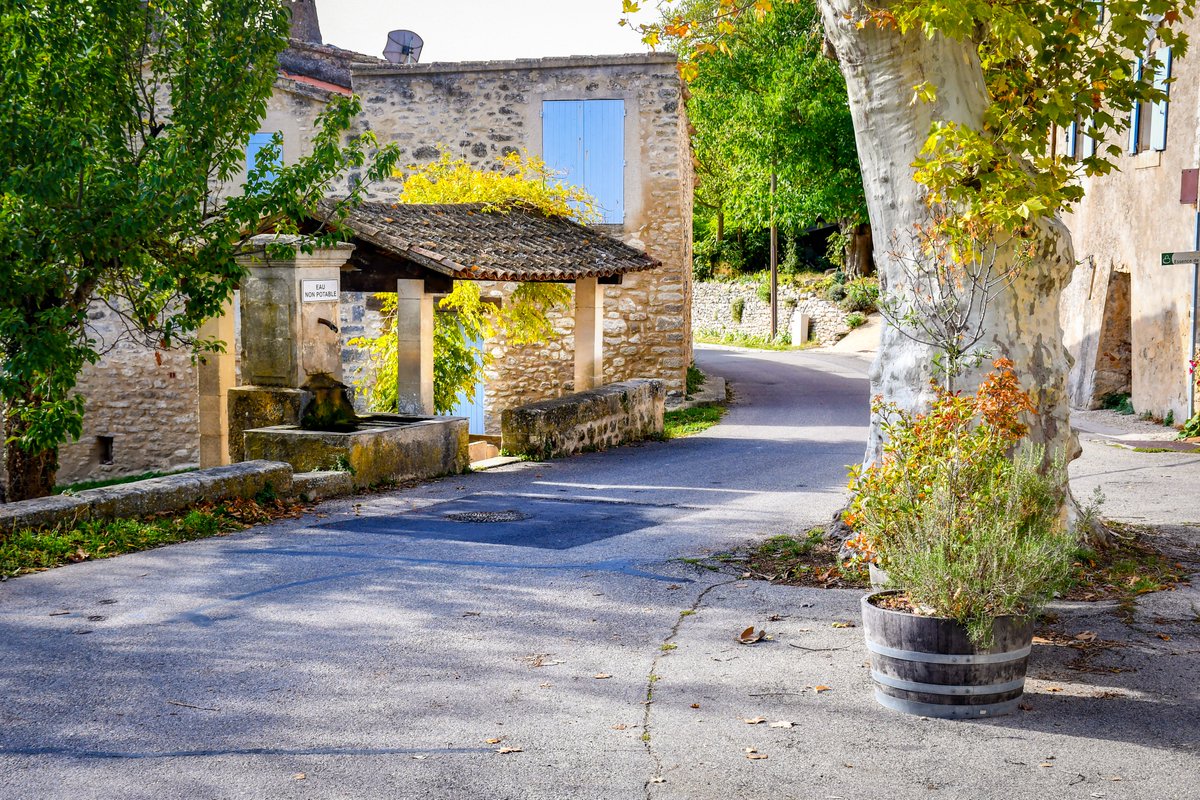 French_Moments's tweet photo. 📸 This morning in Buoux.
We discovered a lovely Provençal village nestled in the Luberon near Bonnieux.
.
.
.
#Luberon #paysaptluberon #Vaucluse #ProvenceGuide #FrenchMoments #EnFranceAussi #MagnifiqueFrance #ExploreFrance #visitsouthoffrance #buoux https://t.co/Irn4TLnYg8