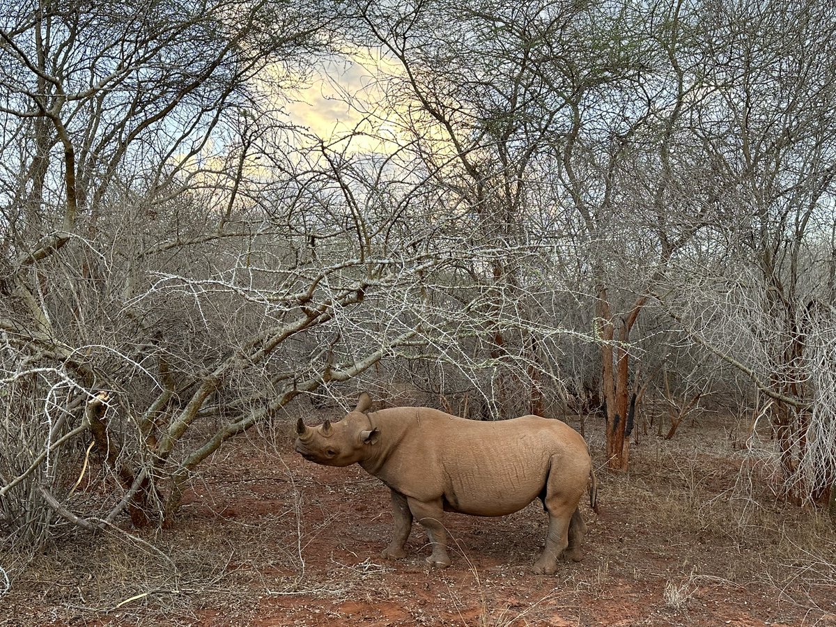 TIS Adventure Program has started! Challenging ourselves, exploring boundaries, making connections for a positive difference in Tanzania! #tashschool