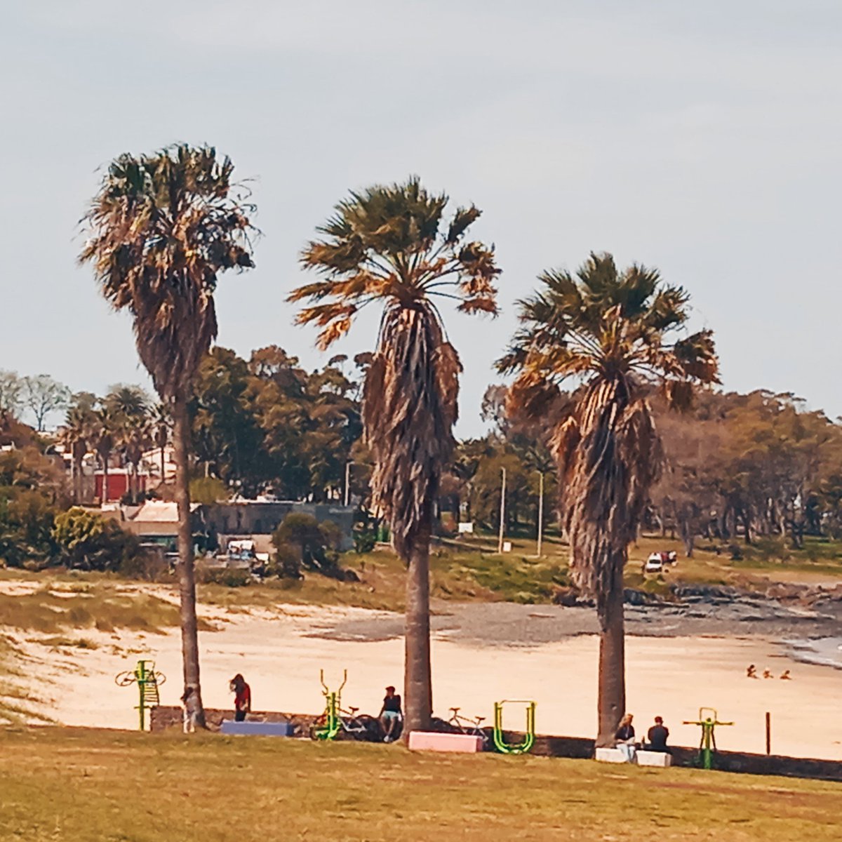 RosanaParedes2's tweet image. Sábado. Hay que apostar a la vida. Con @YsabelParedes12 nos fuimos a la Duclós.
#PlayaDelCerro
#OesteDeMontevideo