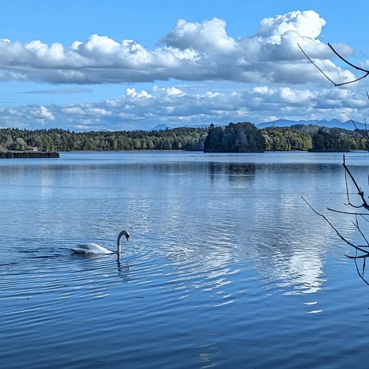 flashbac76's tweet photo. Sunday walk around the lake
#insta #pixelteam #pixel7pro #travel #instatravel #onthego #truckerslife #greatshotz #naturephotography #naturelovers #outdoors #landscape #autumncolors #sky #woods #trees #lake #iamnik #catsoftiktok #catontruck #SeehamerSee #Germany https://t.co/TQdZzVeT3H
