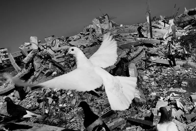 L'Humanité tweet media