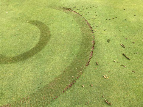 Andrew Bernzott tweet media