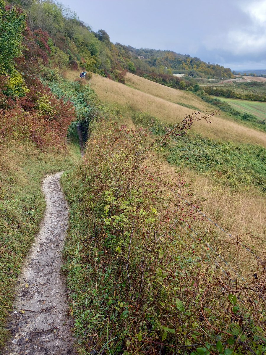 ButcherAntony's tweet photo. Yesterday's #SlowWays walk with @LondonNPC Rangers @agreeninn &amp; @8dipatel8 Caterham to Oxted 3. Showery but beautiful walk. Fungi, trees, vineyards and stunning views. https://t.co/Lnf4RWnGUe