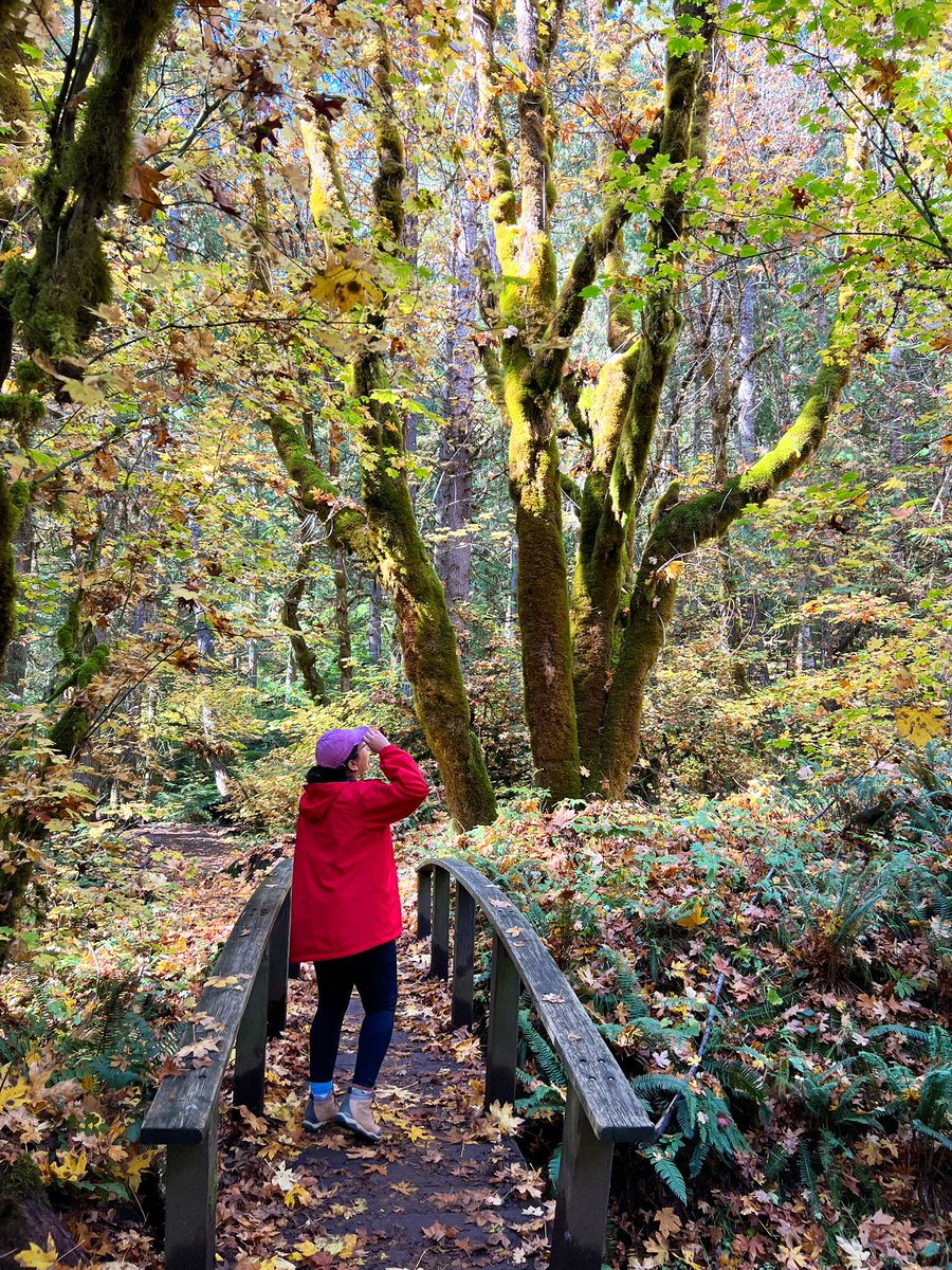 Oregon road-trip 📍 landscapes had a little bit of everything #PNW