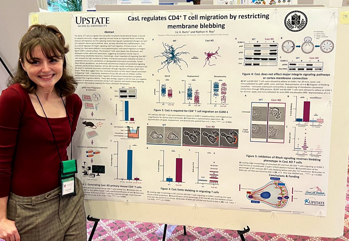 liz_kurtz_'s tweet photo. Had an amazing time at NYIC this year! I was very excited to present my poster and share what I’ve been working on!! @UpstateNews @roybiolab https://t.co/HbM92BvWyq