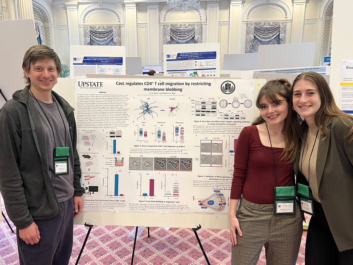 liz_kurtz_'s tweet photo. Had an amazing time at NYIC this year! I was very excited to present my poster and share what I’ve been working on!! @UpstateNews @roybiolab https://t.co/HbM92BvWyq