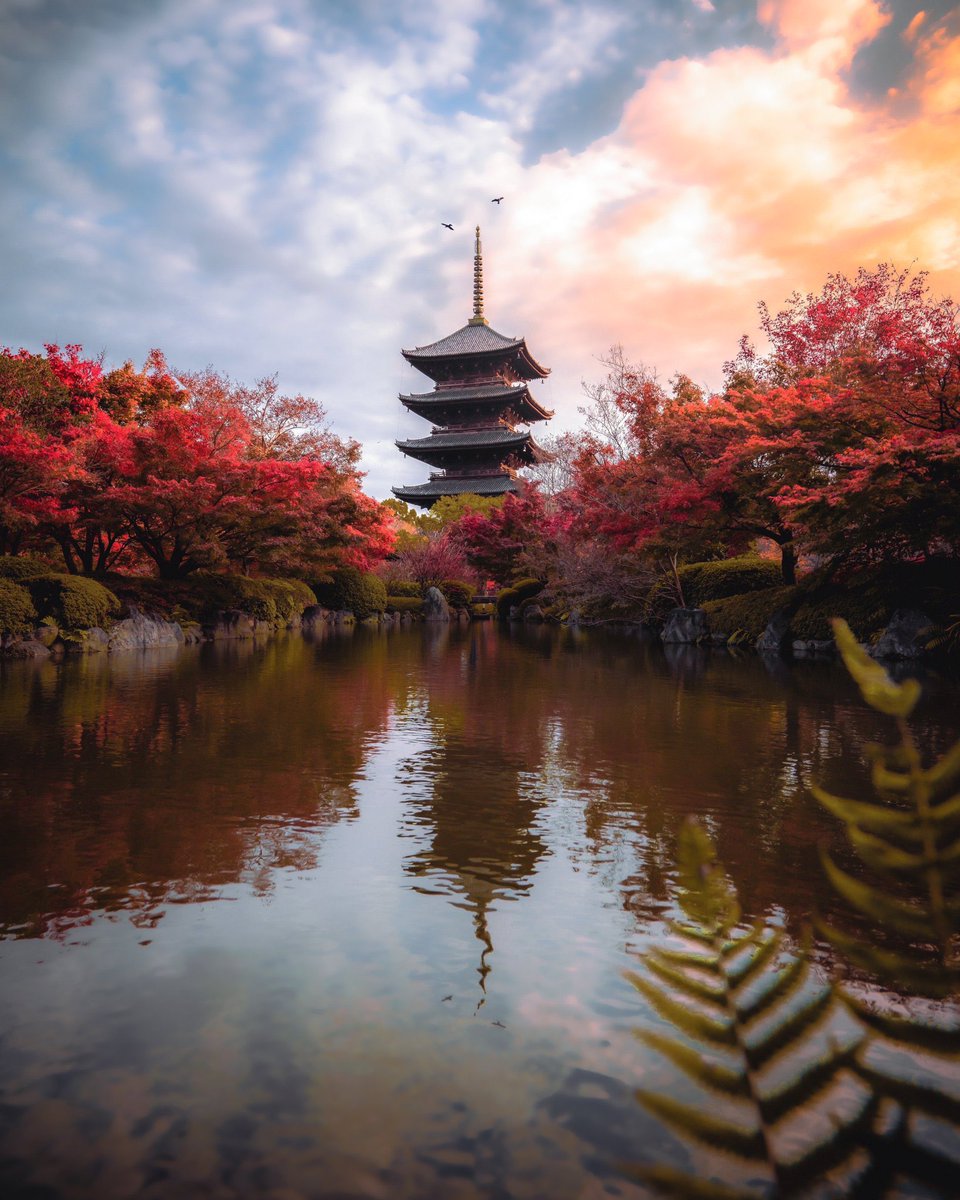 Kyoto, Japan 🇯🇵