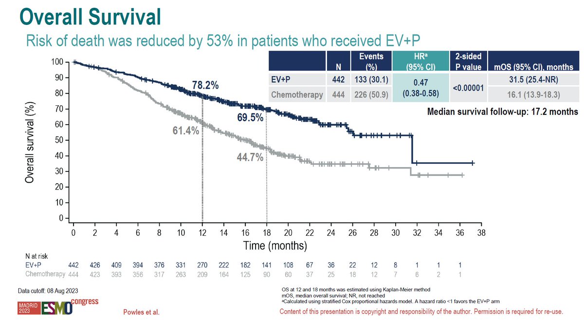 Jacob Plieth tweet media