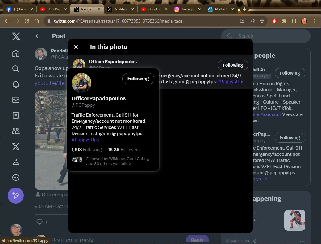 MinaDiBari's tweet image. &quot;PAPPYSTIPS&quot; ? lol #PappysTips