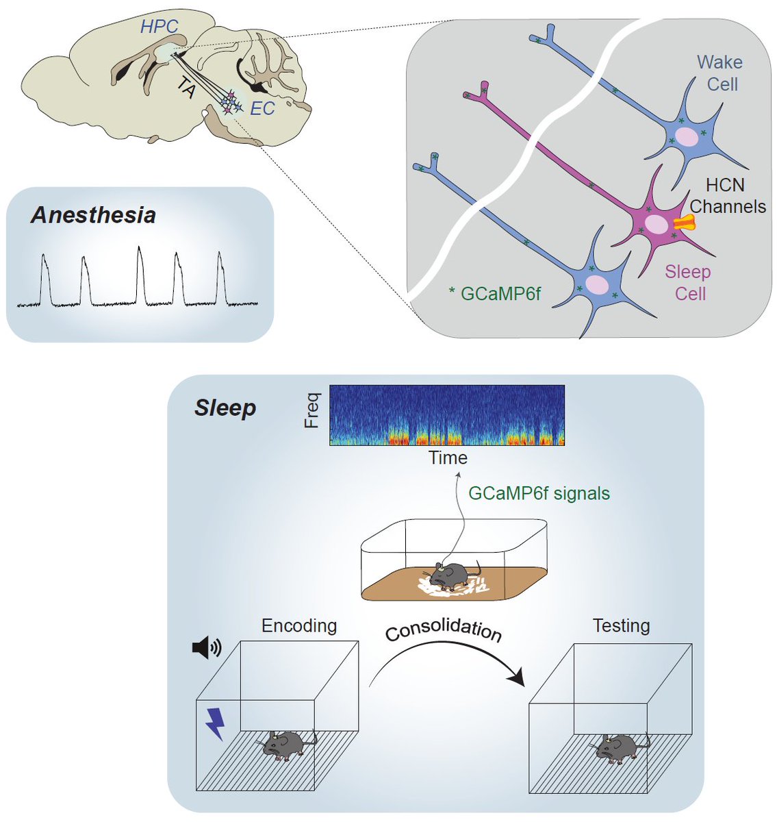 Juhee Haam tweet media