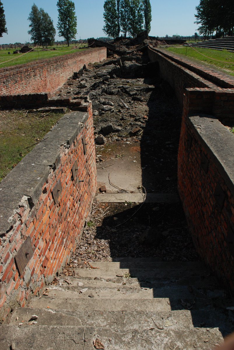 22 October 1943 | The number of female prisoners in the Auschwitz II-Birkenau camp, in all female sub-camps and the experimental station of Prof. Carl Clauberg was 33,649 prisoners. During a selection which took place on that day 1,260 women were chosen (394 of them were…