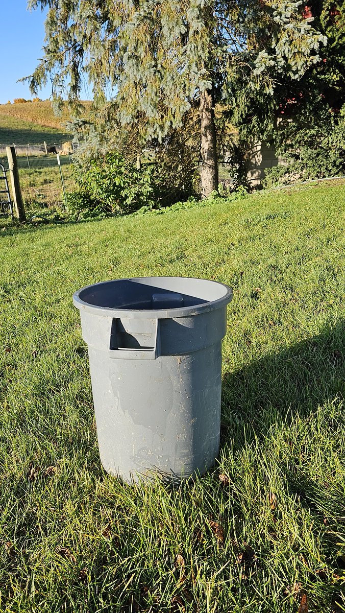 PrattFamilyHome's tweet photo. Found my turkey kill cone. Forgot I had this smaller trash can. It's probably ... half normal size?
#turkey #killcone #processingday #homestead https://t.co/HzTvovQsxX