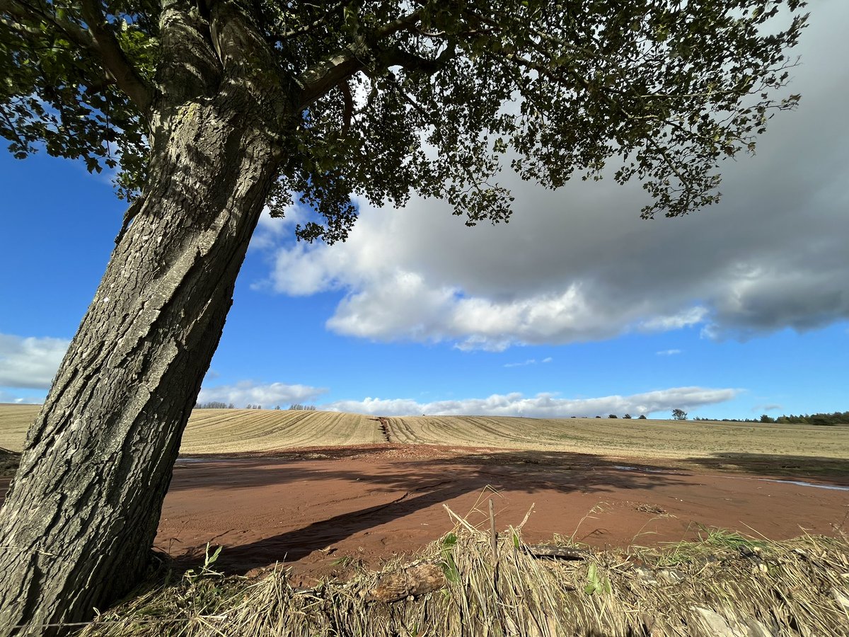 Gerry Roarty tweet media