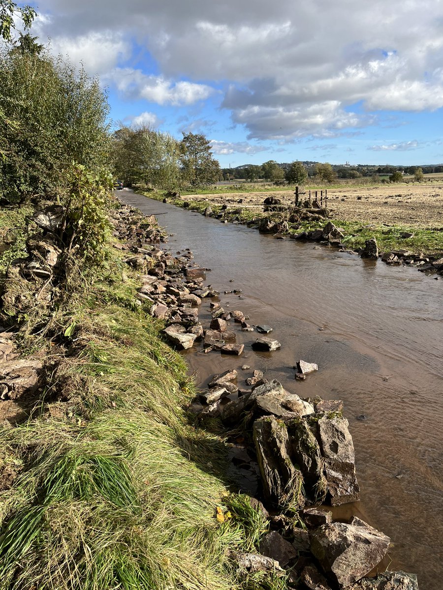 Gerry Roarty tweet media