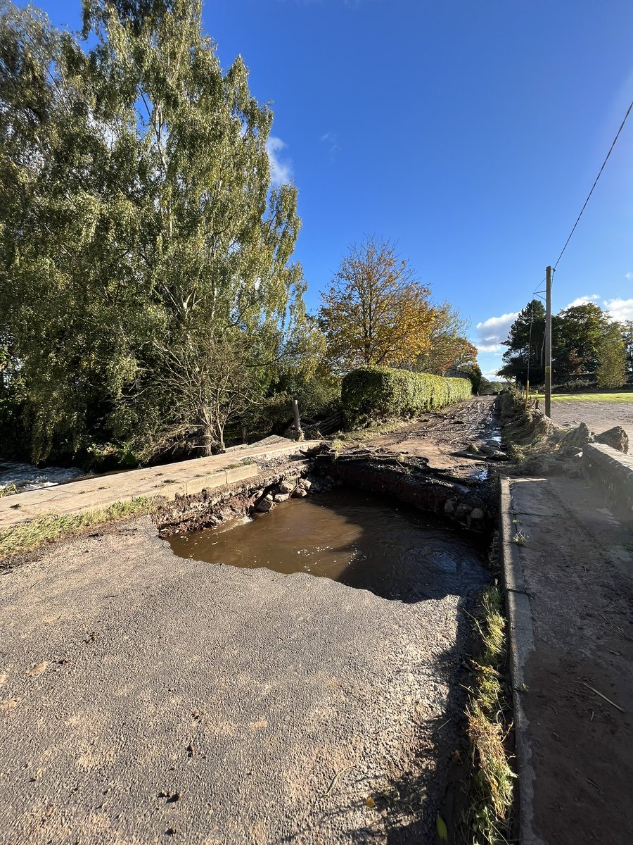 Gerry Roarty tweet media