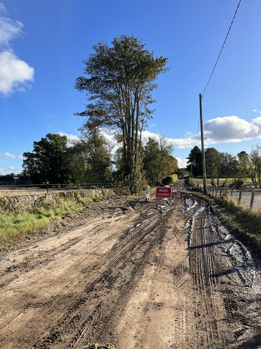 Gerry Roarty tweet media