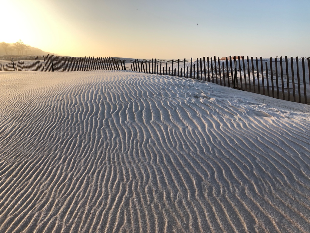 Indigrowmi's tweet photo. MUSKEGON MINUTE: While snow fences remind us that the seasons are changing, this one at Pere Marquette Park shows us how pretty the shifting sands of Lake Michigan can be! #microdifference #muskegonmade #muskegonproud #cannabistourism #thisismuskegon #visitmuskegon https://t.co/f7fdR3fLVQ