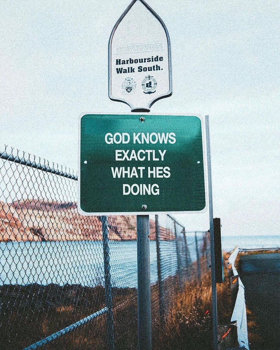 Art of Life 🦋 (@art0flife_) on Twitter photo 