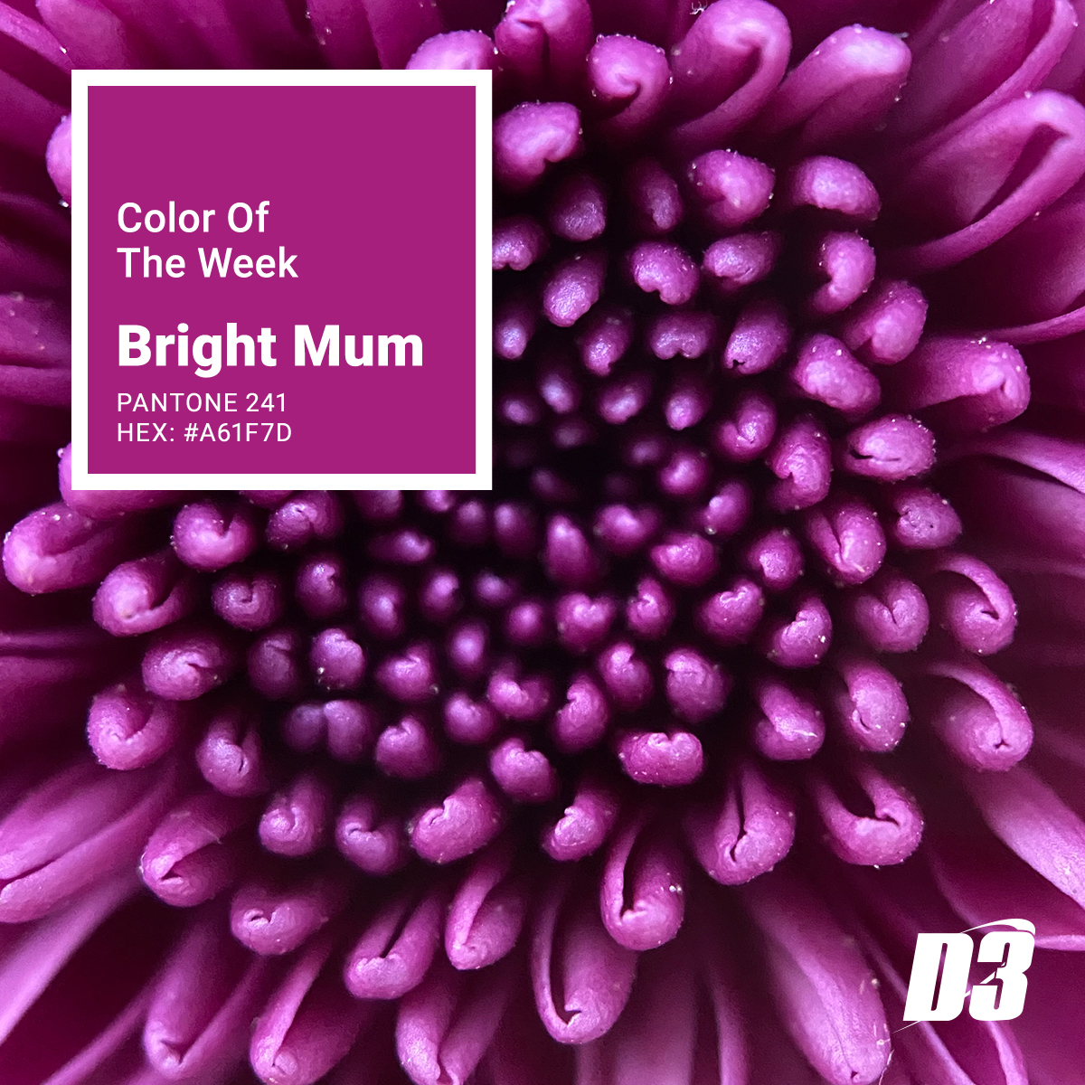 Bright Mum, this week's color will add a splash of vibrancy to your day.