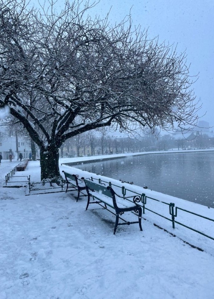 elemmiressoul's tweet photo. winter landscape. https://t.co/j7zYKkSYm2