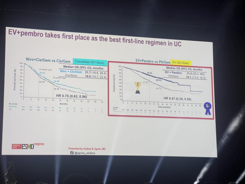 Martin ZapataLaguado tweet media