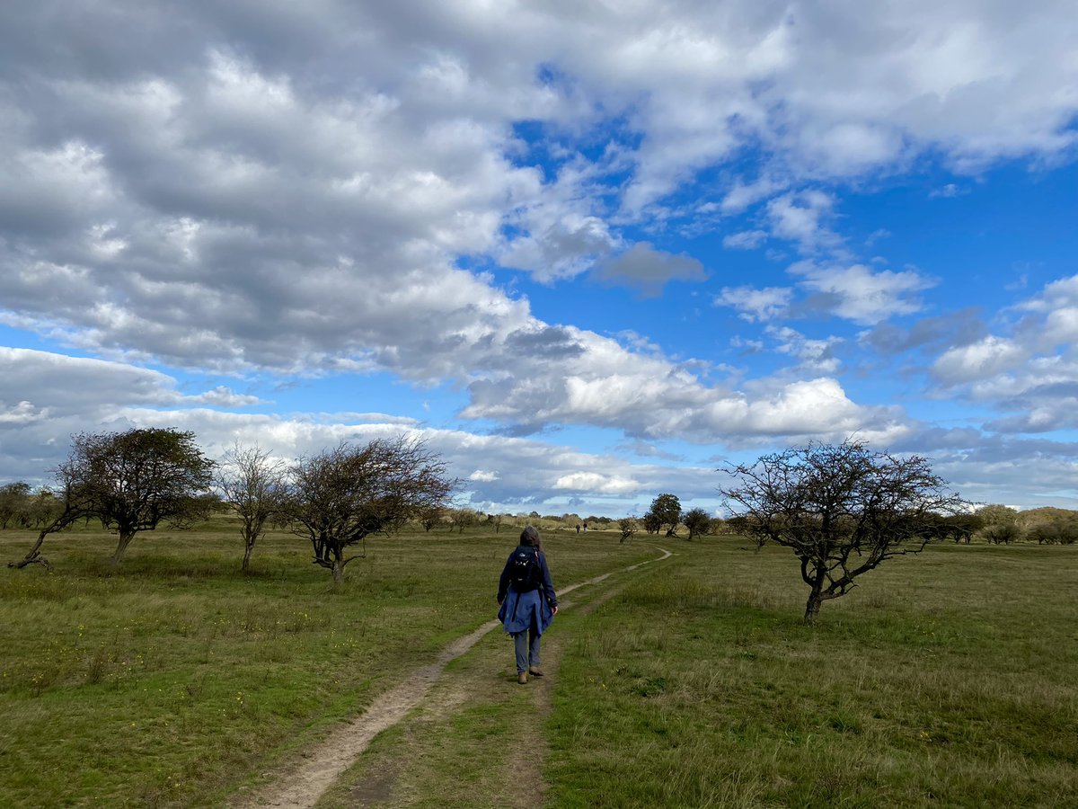 Paul Verspeek tweet media