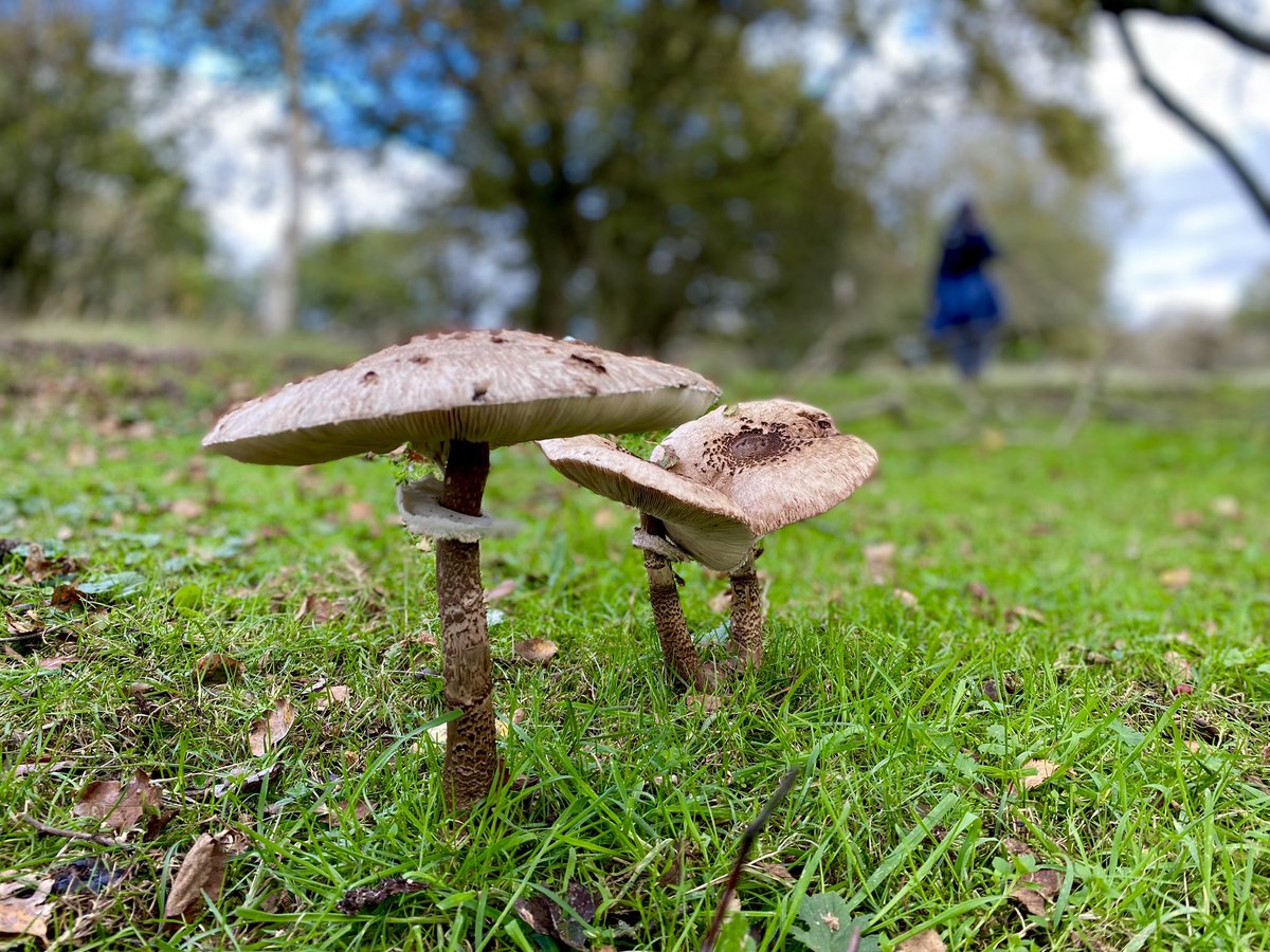 Paul Verspeek tweet media