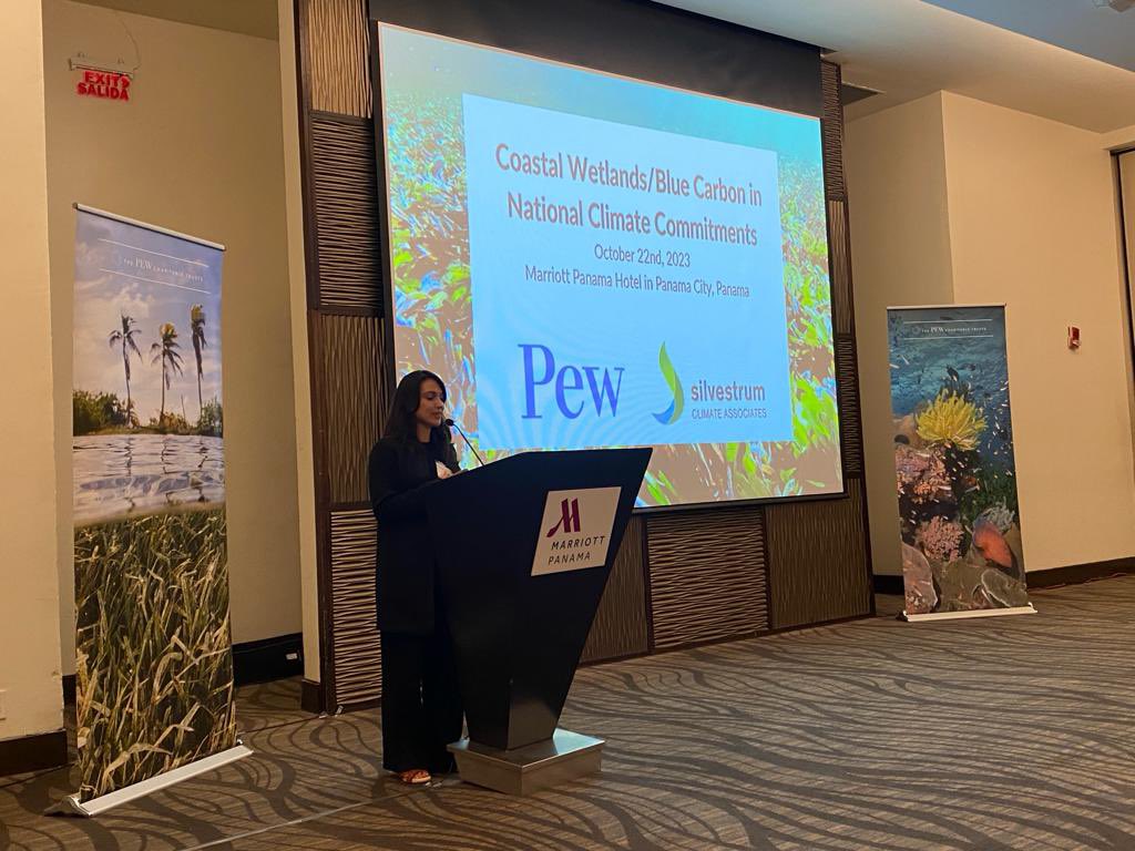 Happening now:  <a href="/pewenvironment/">Pew Environment</a> and Silvestrum hosted workshop on #bluecarbon and #NDC I lead up to #LACCW. Highlighting global leadership from #Belize and #CostaRica and discussions on LAC opportunities.
