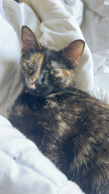 I love her lil cranky face https://t.co/s4KTE5ybkh