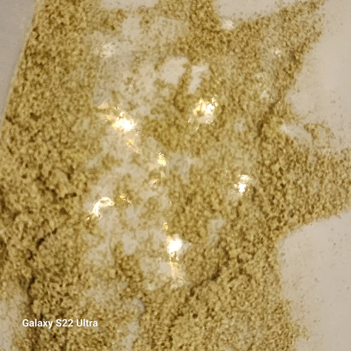 Zombie Death Fuck ...
#growyourown
#sativadiva
#CannabisCommunity 
#StonerFam 
#kief