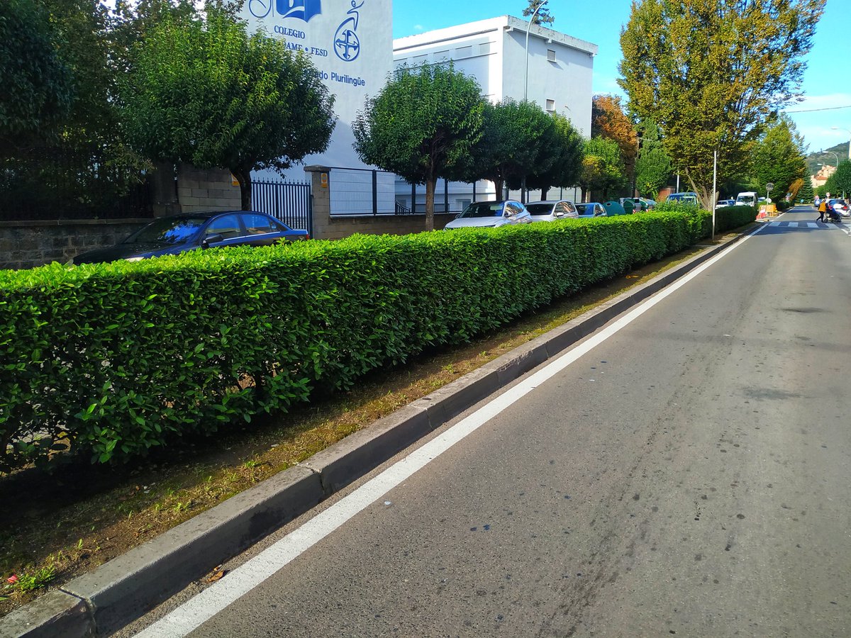 ialzu77's tweet photo. Seto de c/Mayor de #Burlada en buen estado. En cambio, en la Avda. Erripagaña en #Burlada, dejación total. La visibilidad del automovilista se reduce. Nuestros hijos pequeños se juegan la vida cada vez que cruzan un paso de cebra. No somos de segunda. @AytoBurlada @VecErripagana https://t.co/OqrTeLE8pE