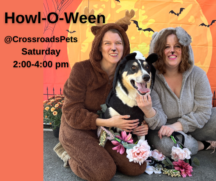 Come to Crossroads Pets for a Howl-O-Ween party Sat, Oct. 28, from 2 - 4:00.  707 Monroe St, Nashville.
- Photo Booth
- Pup Cups
- Goodie Bags
- Chance to win a free pet portrait, a gift basket, gift cards
- Fun for the whole family

#familyfun #nashvillefamilies #dogsofnashville