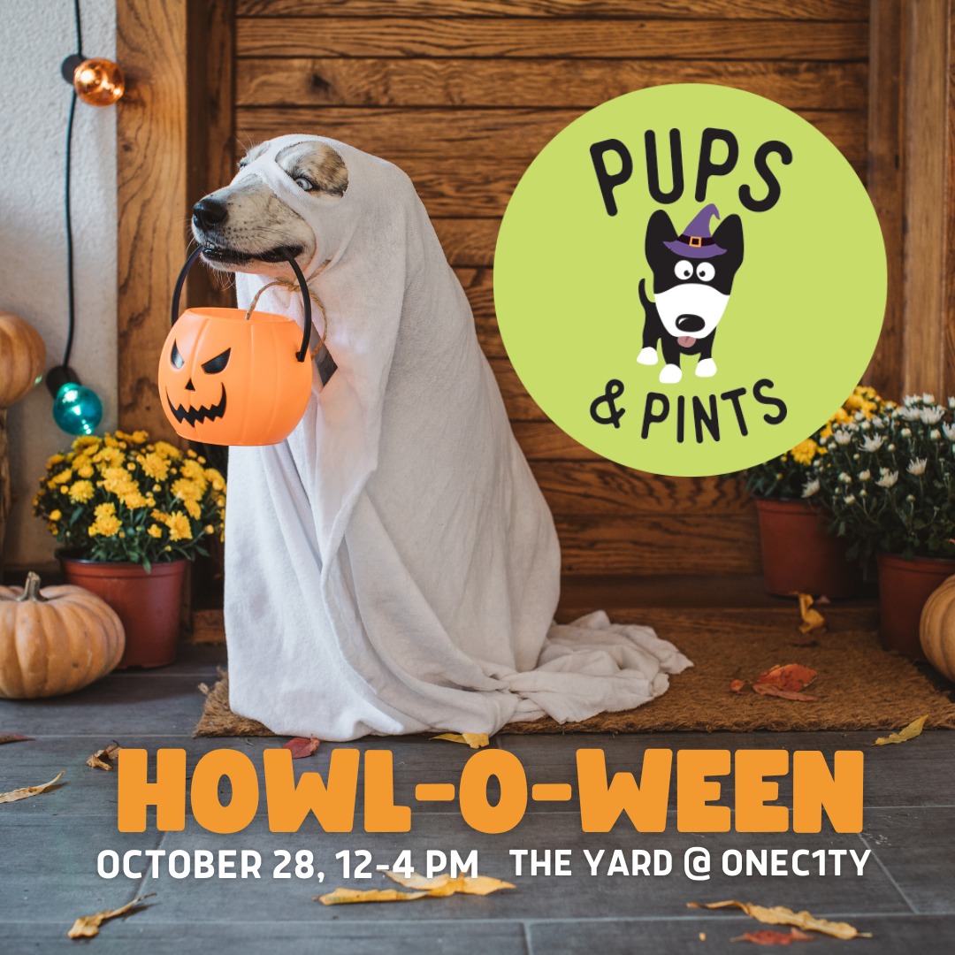 Warning: Cuteness overload. 🐶 Pups and Pints is back at @oneC1TY, and they're calling all pups and their beer-loving humans! 🍻 Get ready for a howling good time on October 28! ⬇️ pupsandpints.com