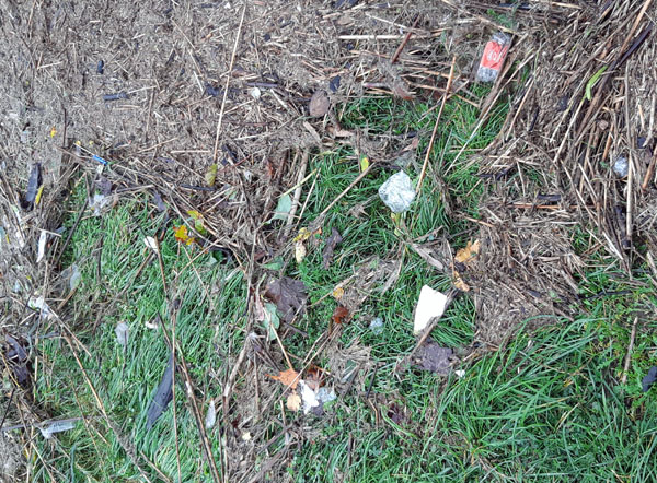 HL-live.de tweet media