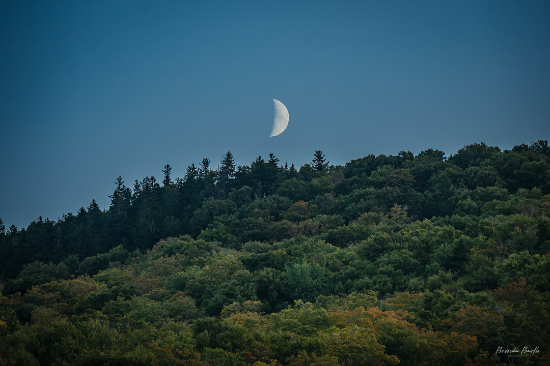 BrendaWBarth's tweet photo. Moon over White Mountain National Forest. 
#outsideismybestside #nikon #nikonusa #nikonz6ii #nikonphotography #nikonphoto #nikonoutdoors #adventure #explore #exploremore #neverstopexploring #landscape #travelphotography #newhampshire #whitemountains #whitemountainnationalforest https://t.co/Ih5Xs3CZU7