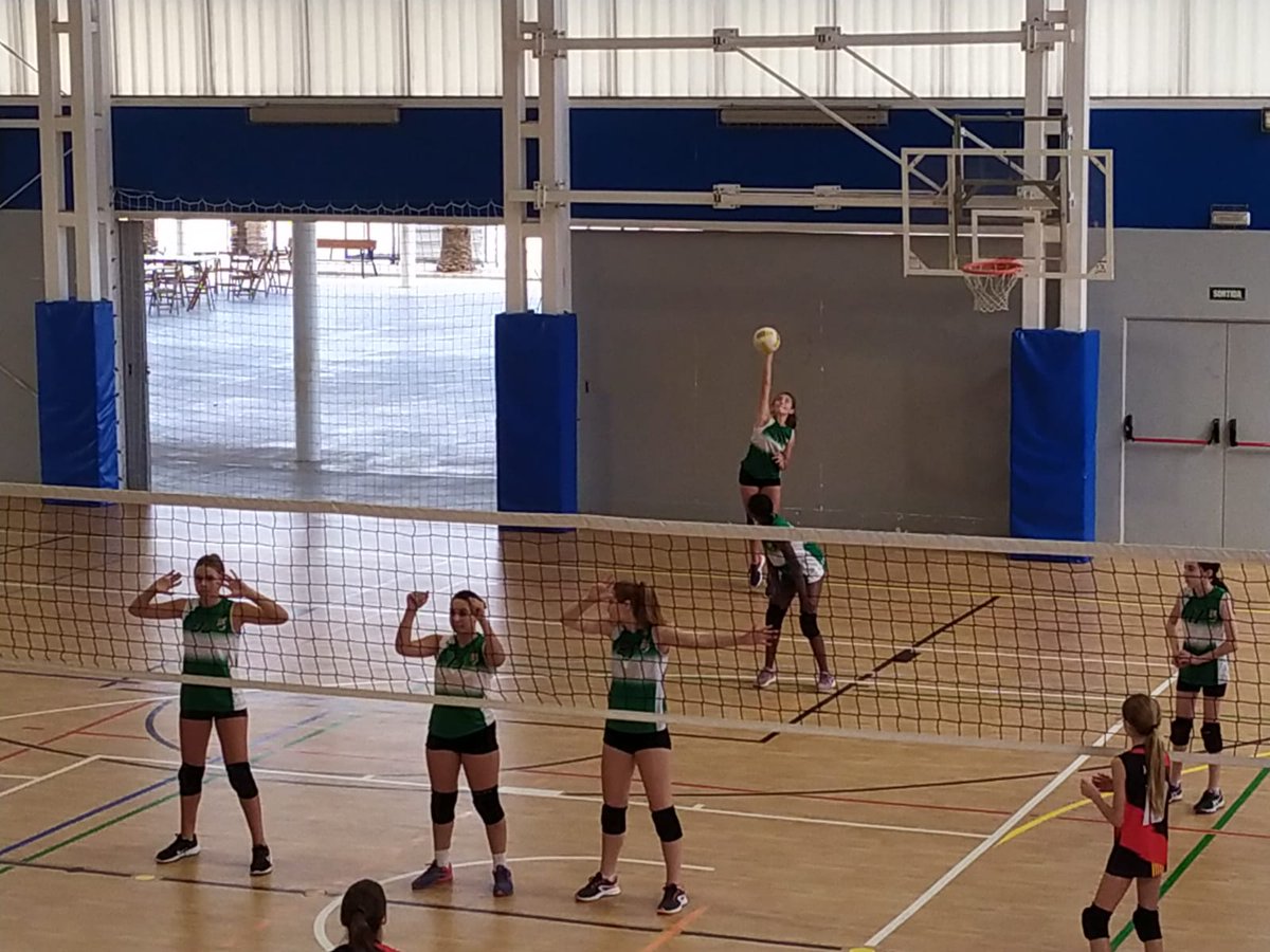 Club Handbol Bordils tweet media