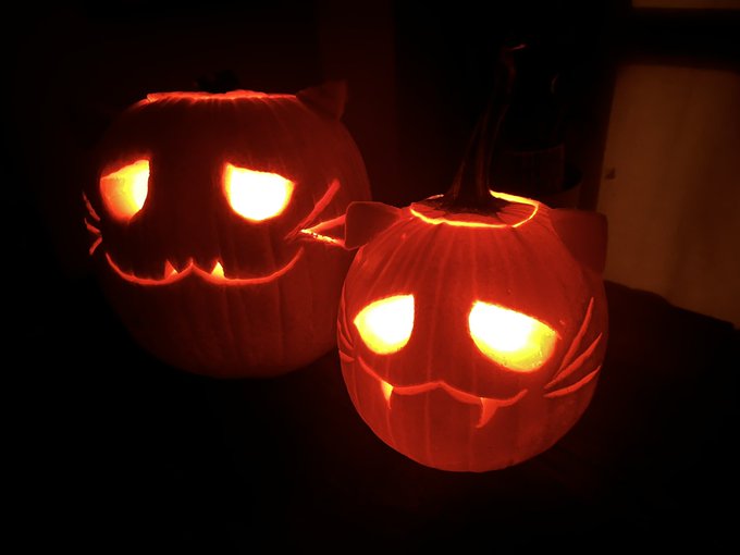 Halloween pumpkin kitty https://t.co/8sVcQaL24h<a href="/tag/costume"class="tags"><span>#costume</span></a>
