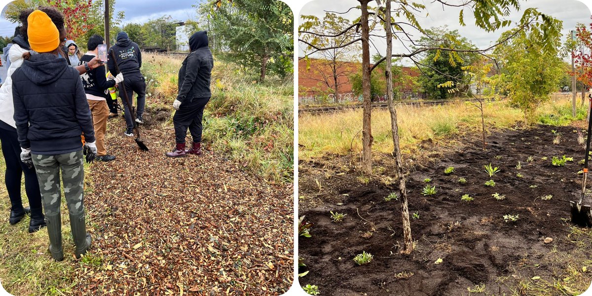 Hamilton Lajna tweet media